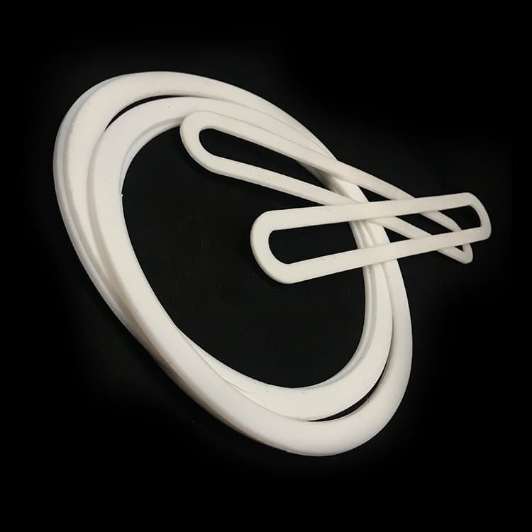 PTFE Gaskets